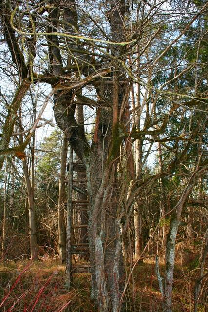 Verfallener Jägersteig