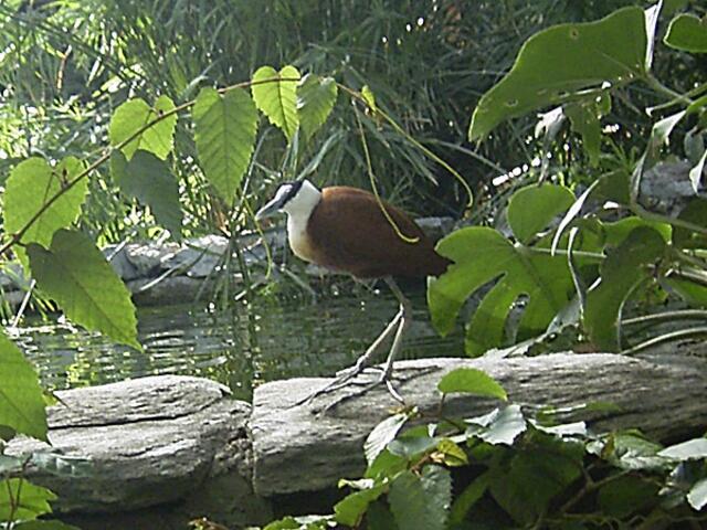 Tierpark Berlin-Friedrichsfelde