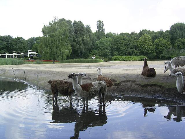 Tierpark Berlin-Friedrichsfelde