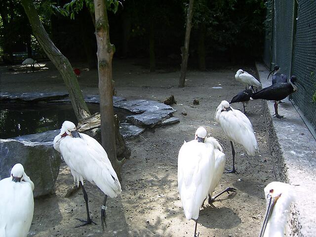 Tierpark Berlin-Friedrichsfelde