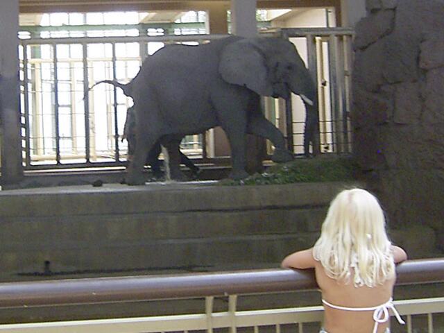 Tierpark Berlin-Friedrichsfelde