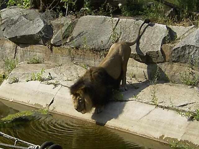 Tierpark Berlin-Friedrichsfelde