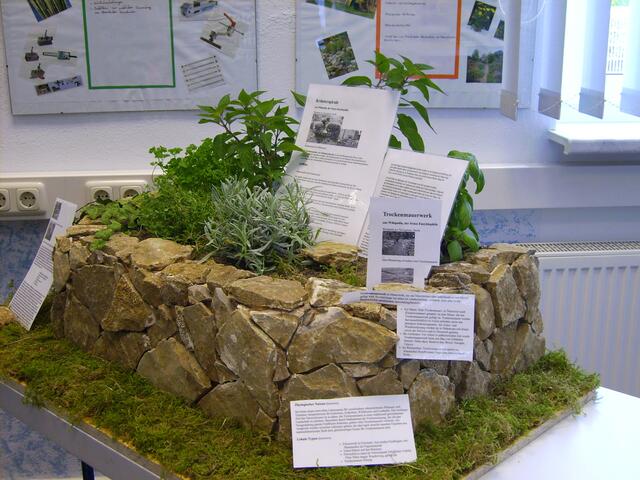 Das Projektergebnis des Berufsfeldes "Garten- und Landschaftsbau"