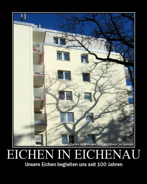 Der Schatten der Eiche