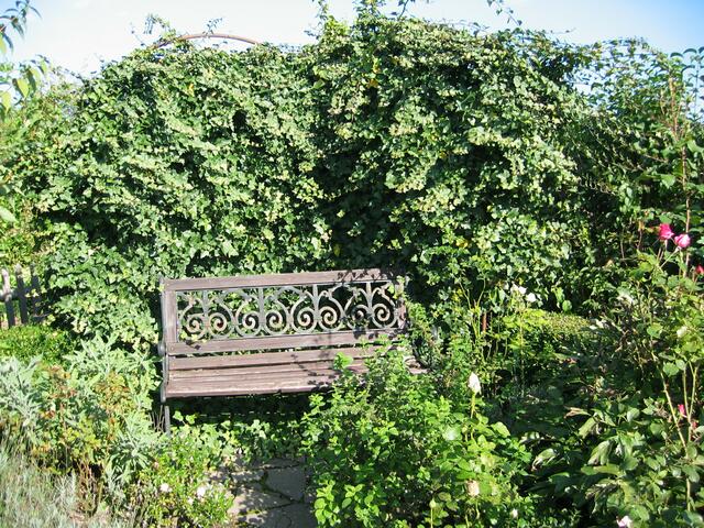 Der Umweltgarten - einer von vielen Ruhepolen