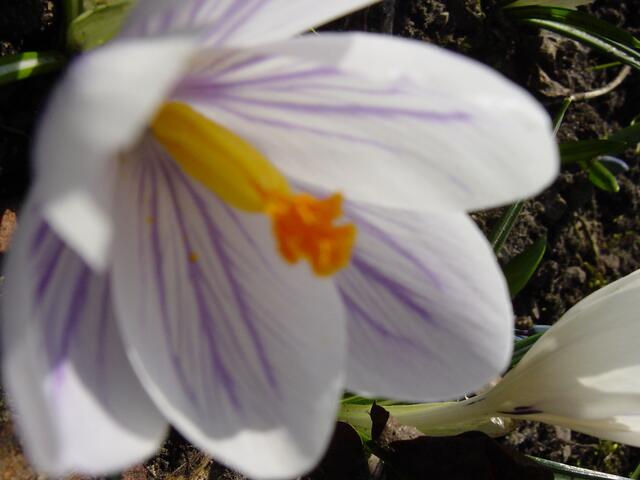 Gersthofen im April 2005