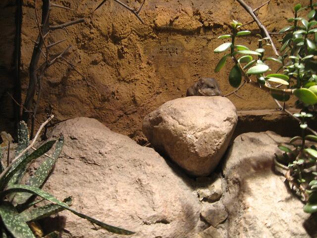 Zoo Leipzig