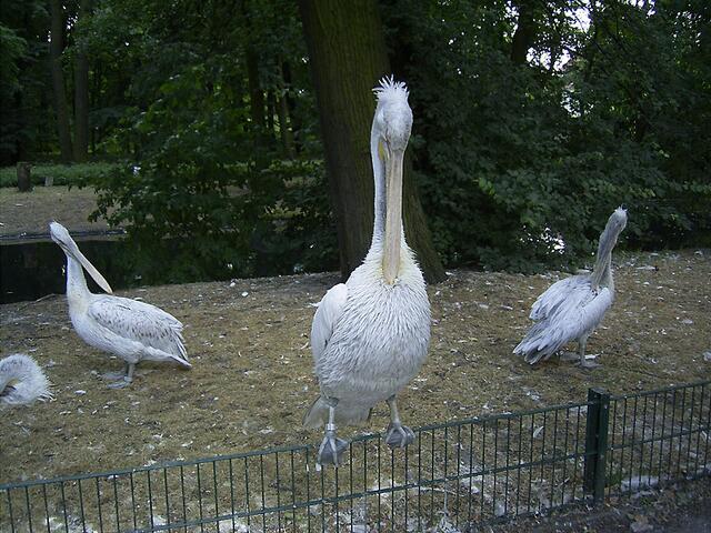 Tierpark Berlin-Friedrichsfelde