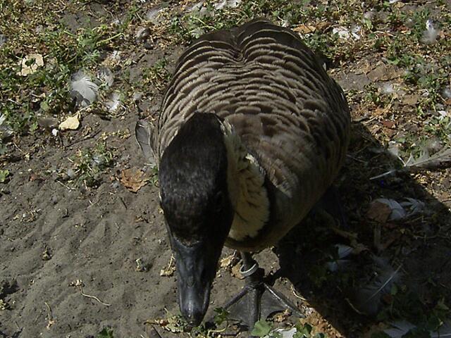 Tierpark Berlin-Friedrichsfelde