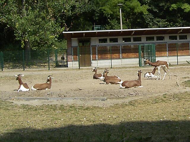 Tierpark Berlin-Friedrichsfelde