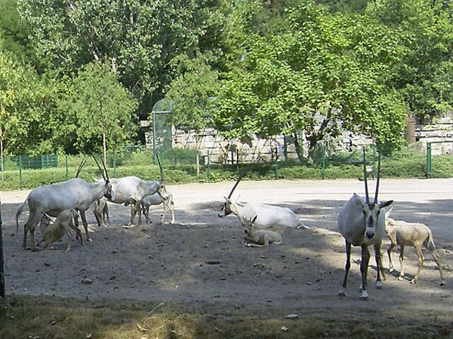 Tierpark Berlin-Friedrichsfelde