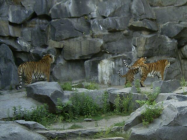 Tierpark Berlin-Friedrichsfelde