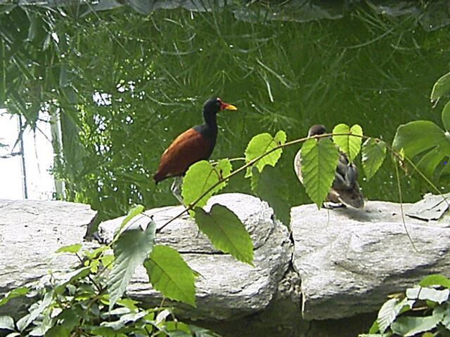 Tierpark Berlin-Friedrichsfelde