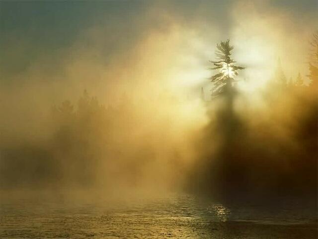 Morgennebel am See