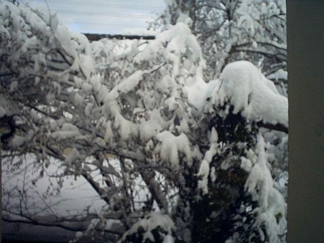 Der Schnee.....