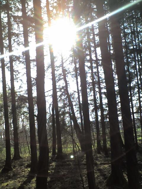 Die Sonne kommt über Austria zu uns