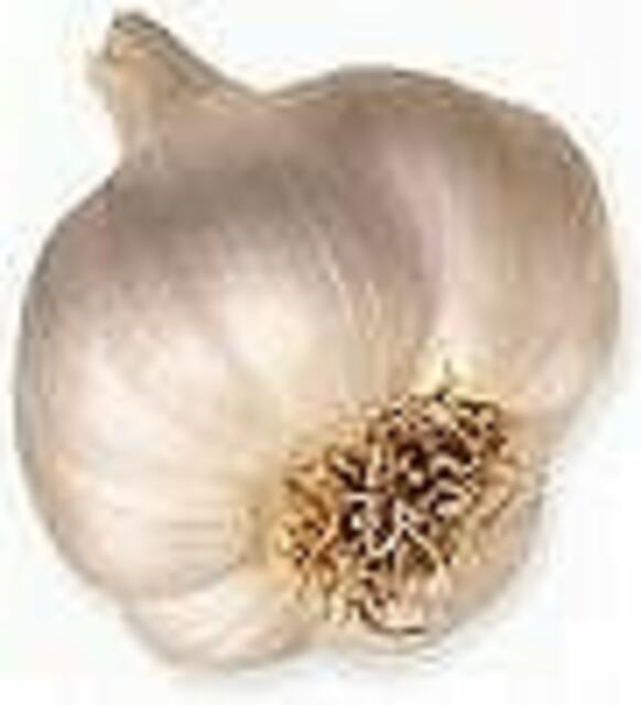 Knoblauch - Rezept | Foto: Google