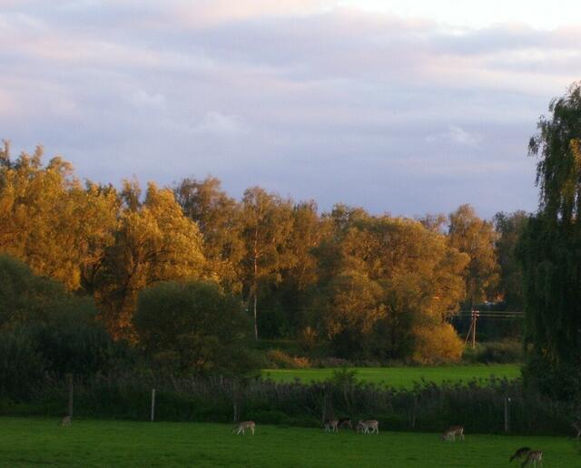 Abendstimmung über Unterschneitbach