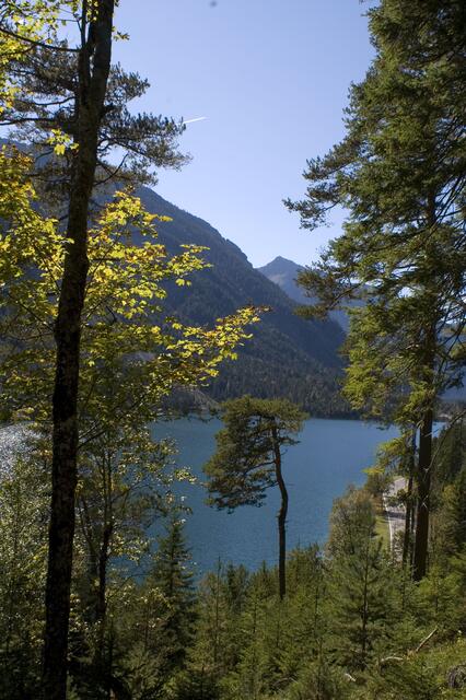 Plansee