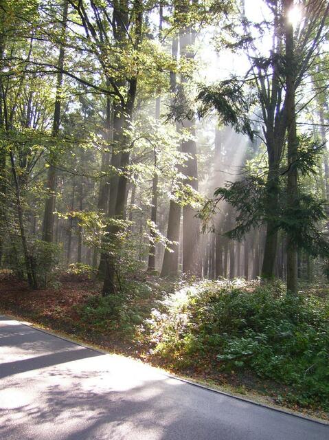 zwischen Aichach u. Oberwittelsbach