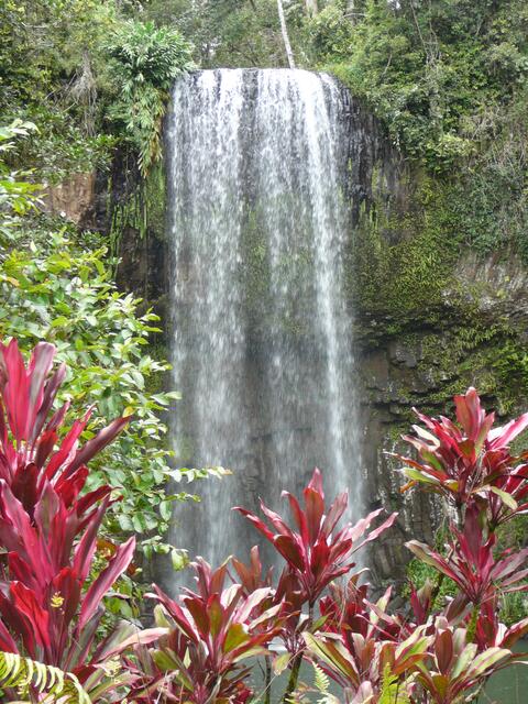 Tableland: Milla Milla Falls