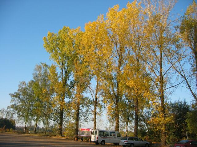herbstlicher Parkplatz