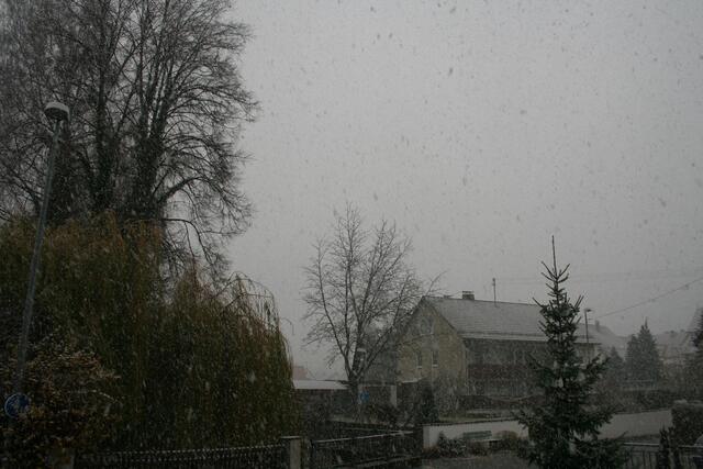 Schnee 09.11.2007