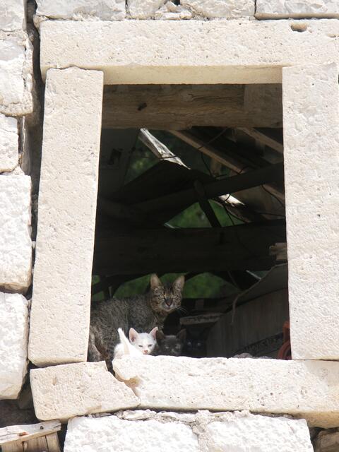 ein Dorf an der Makarska-Reviera