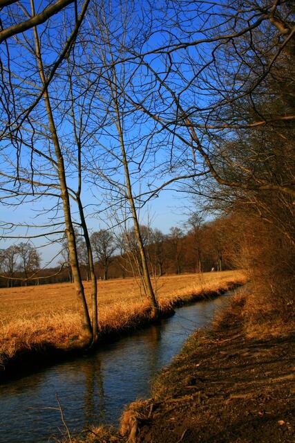 Sonne
