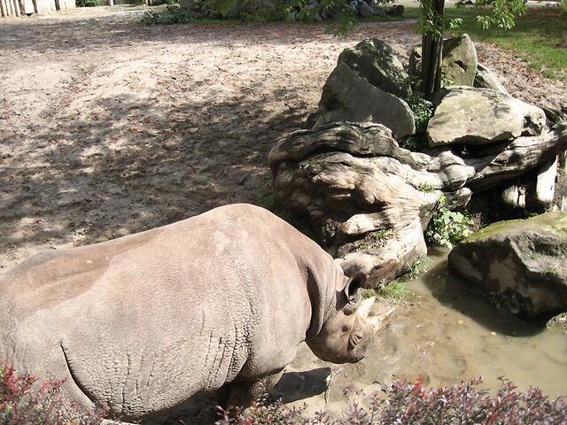 Zoo Leipzig