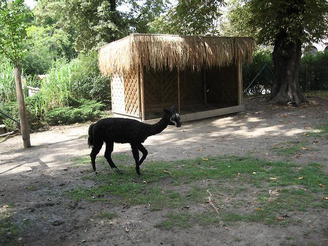 Zoo Leipzig