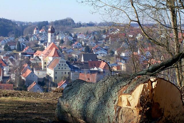 Blick auf Welden mit Pfarrkirche
