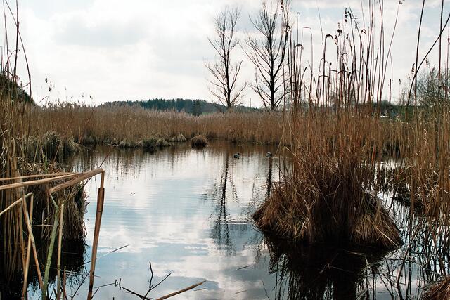 Natur belassen