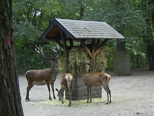 Tierpark Berlin-Friedrichsfelde