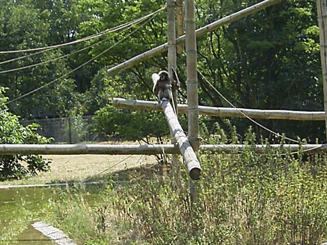 Tierpark Berlin-Friedrichsfelde