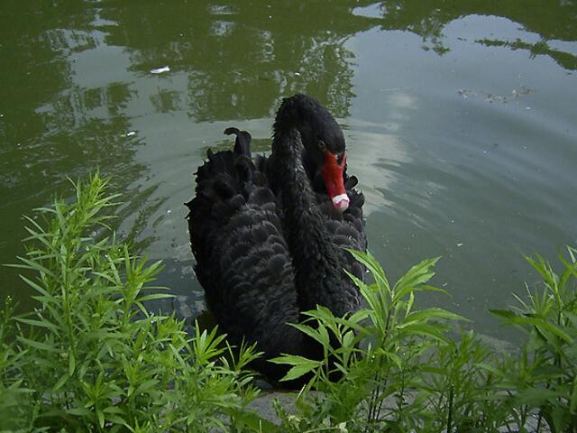 Tierpark Berlin-Friedrichsfelde