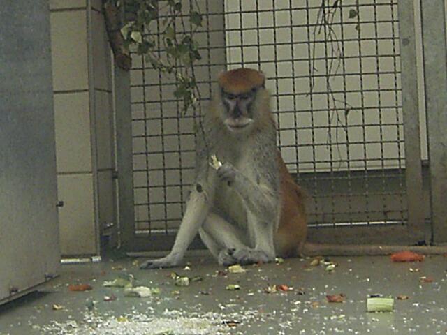 Tierpark Berlin-Friedrichsfelde