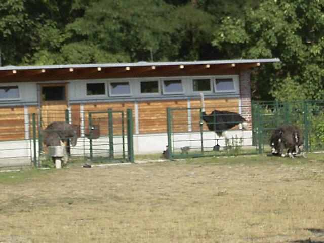 Tierpark Berlin-Friedrichsfelde