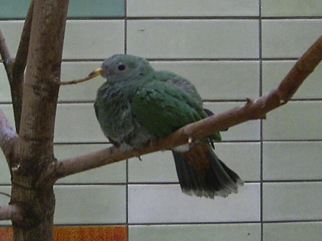 Tierpark Berlin-Friedrichsfelde