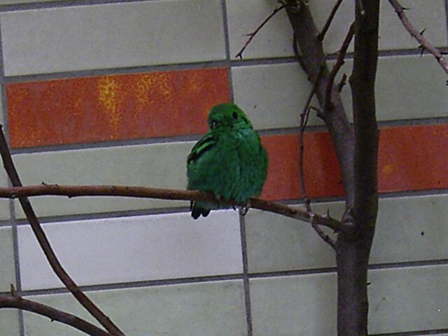 Tierpark Berlin-Friedrichsfelde