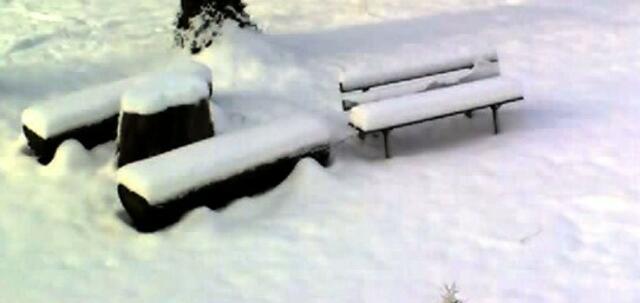 Wo im Sommer Menschen ruhn...