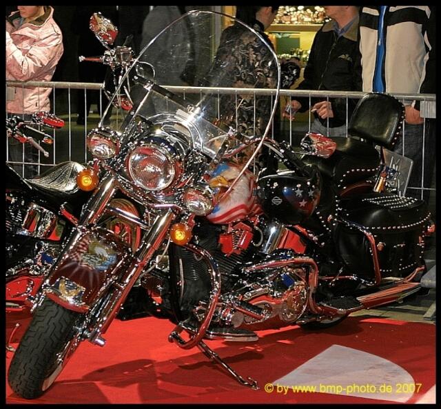 Kinopremiere "Born to be wild"