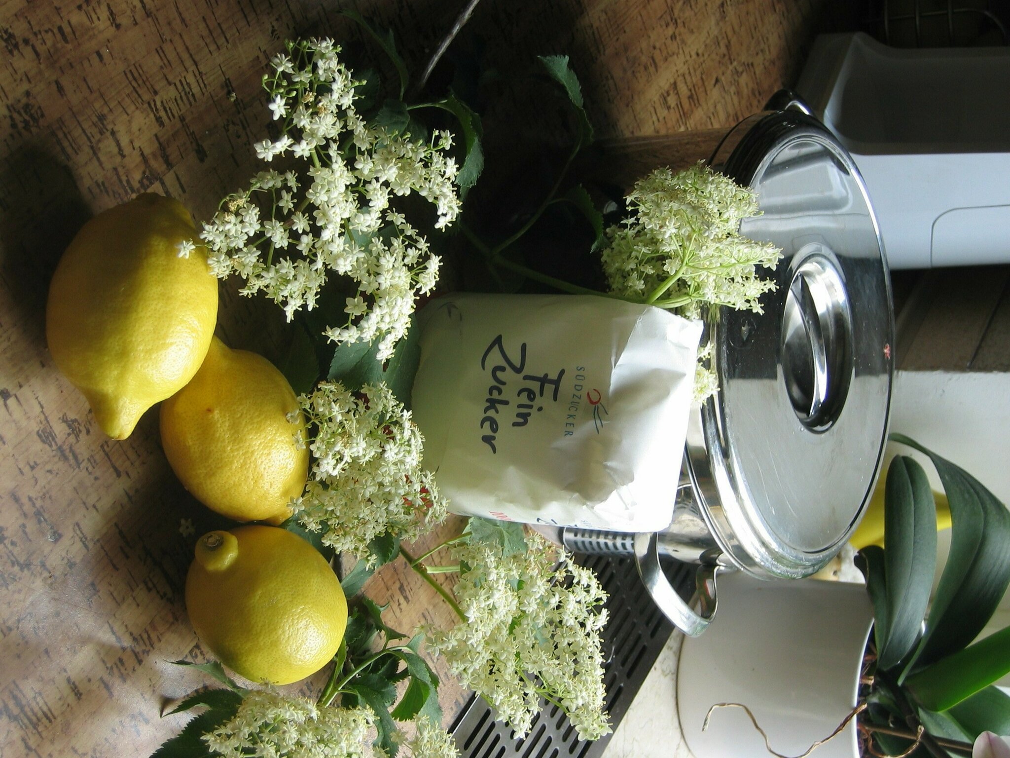 Holler: Holunderblütensaft - ein Sommergetränk für die ganze Familie ...