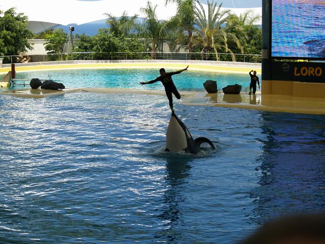 im Loro Parque