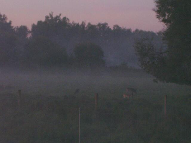 Morgens um 7.oo Uhr
