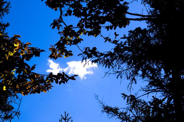 Eine einzelne Wolke am Himmel. | Foto: ''