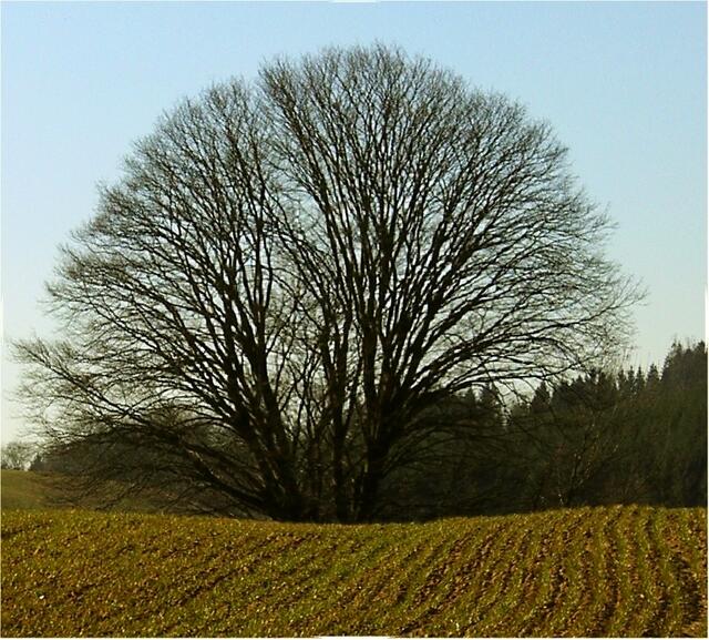 Im Blickfeld.