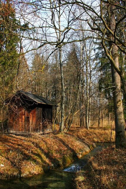 Hütte im Wald
