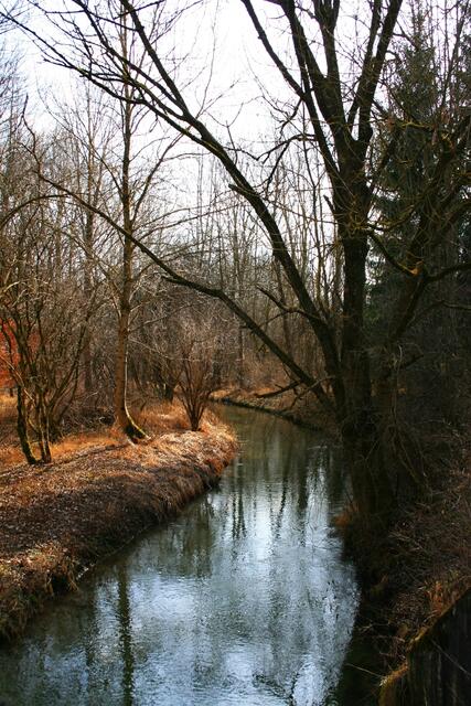 Bachlauf