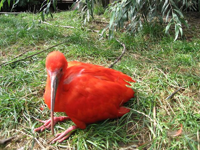 Zoo Leipzig